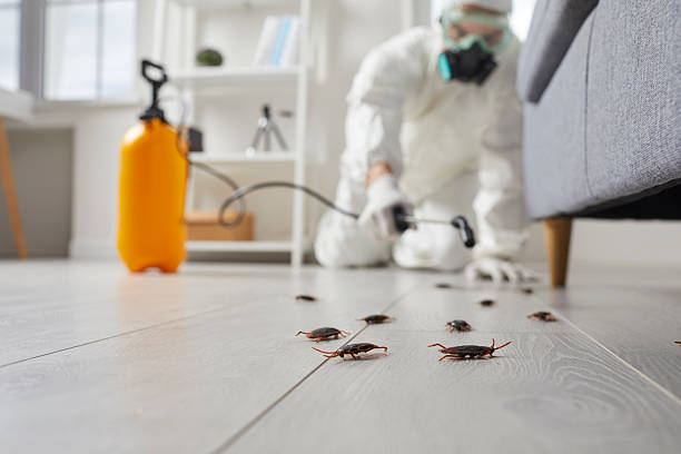 Trusted Cockroach Control service in New Albany, OH - Nex Pest Control
