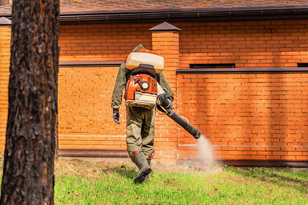 Trusted Termite Control service in New Albany, OH - Nex Pest Control